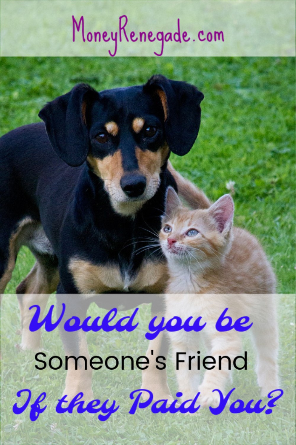 would you be paid to be someone's friend