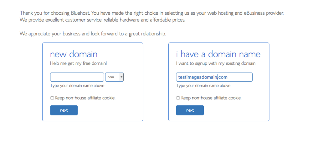 Bluehost domain